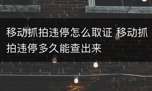 移动抓拍违停怎么取证 移动抓拍违停多久能查出来