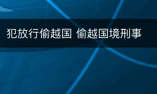 犯放行偷越国 偷越国境刑事
