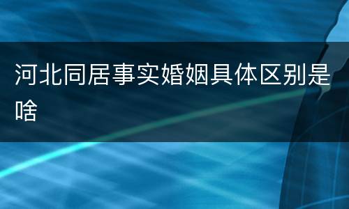 河北同居事实婚姻具体区别是啥