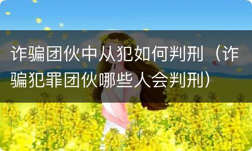 诈骗团伙中从犯如何判刑（诈骗犯罪团伙哪些人会判刑）