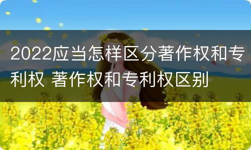 2022应当怎样区分著作权和专利权 著作权和专利权区别