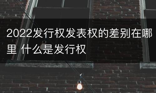 2022发行权发表权的差别在哪里 什么是发行权