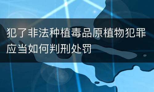 犯了非法种植毒品原植物犯罪应当如何判刑处罚