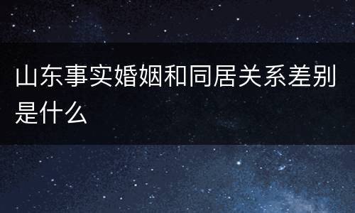 山东事实婚姻和同居关系差别是什么