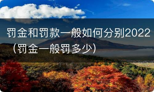 罚金和罚款一般如何分别2022（罚金一般罚多少）