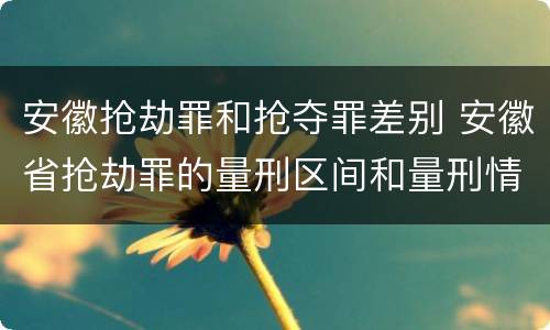 安徽抢劫罪和抢夺罪差别 安徽省抢劫罪的量刑区间和量刑情节