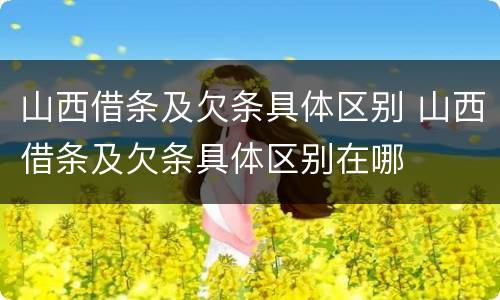 山西借条及欠条具体区别 山西借条及欠条具体区别在哪