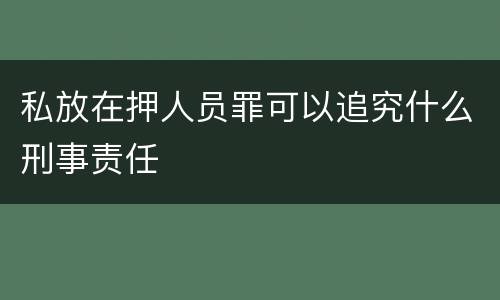 私放在押人员罪可以追究什么刑事责任