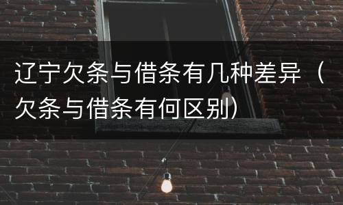 辽宁欠条与借条有几种差异（欠条与借条有何区别）