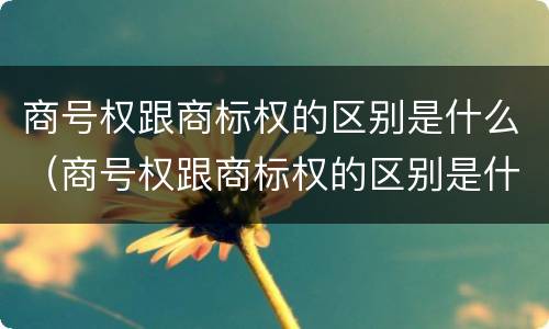 商号权跟商标权的区别是什么（商号权跟商标权的区别是什么呢）