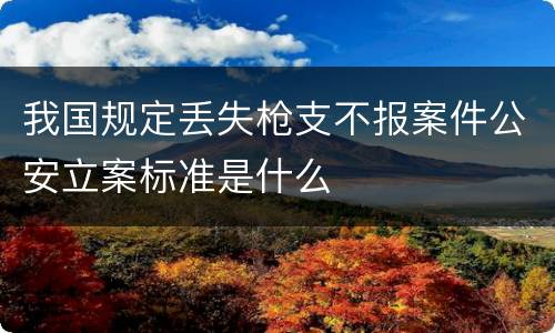 我国规定丢失枪支不报案件公安立案标准是什么