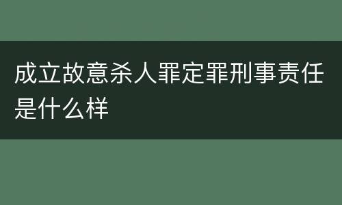 成立故意杀人罪定罪刑事责任是什么样