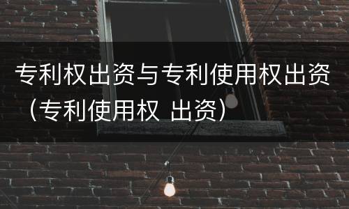 专利权出资与专利使用权出资（专利使用权 出资）