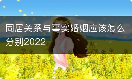 同居关系与事实婚姻应该怎么分别2022