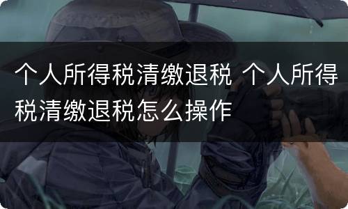 个人所得税清缴退税 个人所得税清缴退税怎么操作