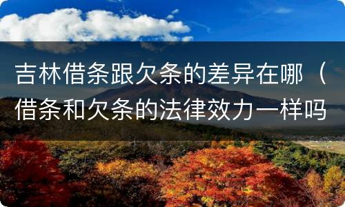 吉林借条跟欠条的差异在哪（借条和欠条的法律效力一样吗）