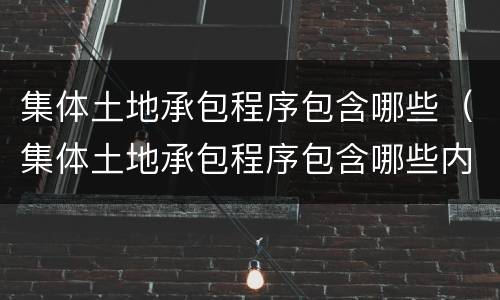 集体土地承包程序包含哪些（集体土地承包程序包含哪些内容）