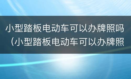 小型踏板电动车可以办牌照吗（小型踏板电动车可以办牌照吗）