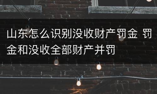 山东怎么识别没收财产罚金 罚金和没收全部财产并罚