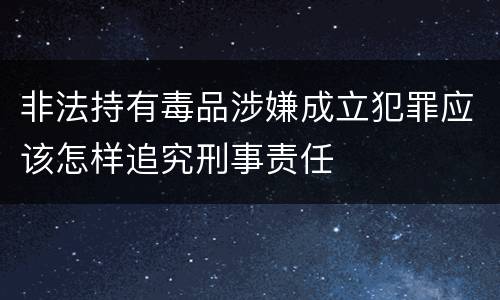 非法持有毒品涉嫌成立犯罪应该怎样追究刑事责任