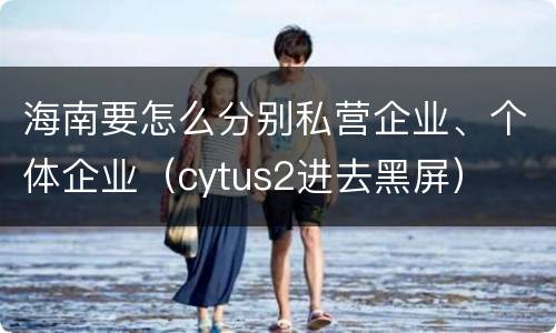 海南要怎么分别私营企业、个体企业（cytus2进去黑屏）