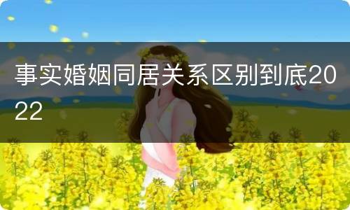 事实婚姻同居关系区别到底2022