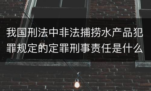 我国刑法中非法捕捞水产品犯罪规定的定罪刑事责任是什么