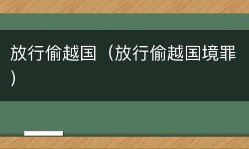 放行偷越国（放行偷越国境罪）