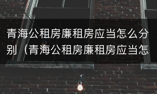 青海公租房廉租房应当怎么分别（青海公租房廉租房应当怎么分别购买）