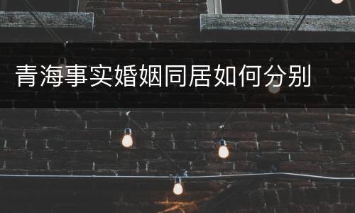 青海事实婚姻同居如何分别