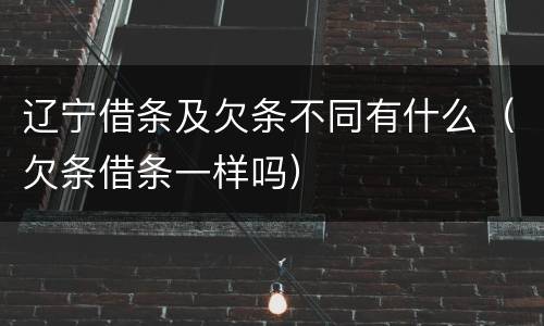 辽宁借条及欠条不同有什么（欠条借条一样吗）
