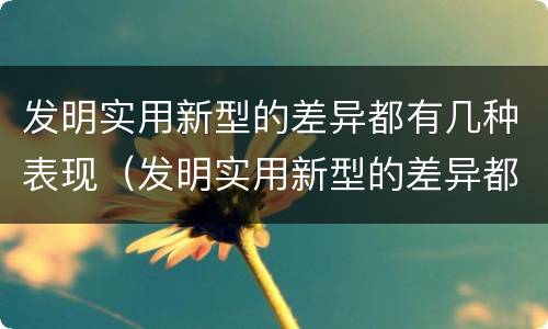 发明实用新型的差异都有几种表现（发明实用新型的差异都有几种表现方式）