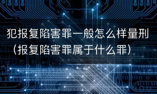 犯报复陷害罪一般怎么样量刑（报复陷害罪属于什么罪）