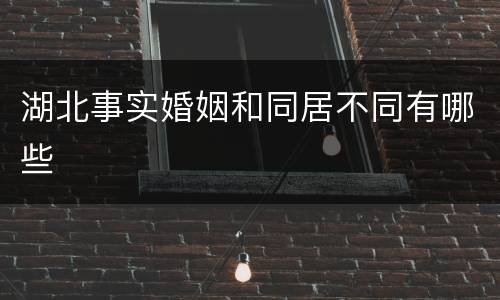 湖北事实婚姻和同居不同有哪些