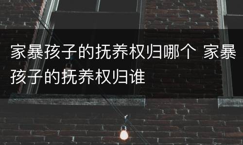家暴孩子的抚养权归哪个 家暴孩子的抚养权归谁