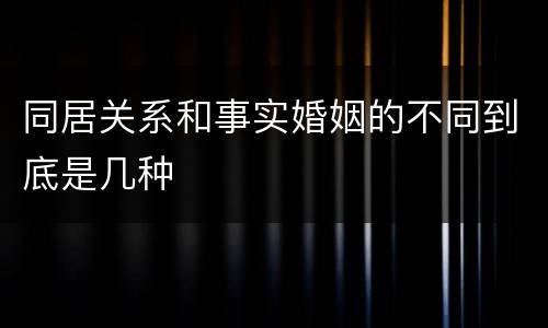 同居关系和事实婚姻的不同到底是几种