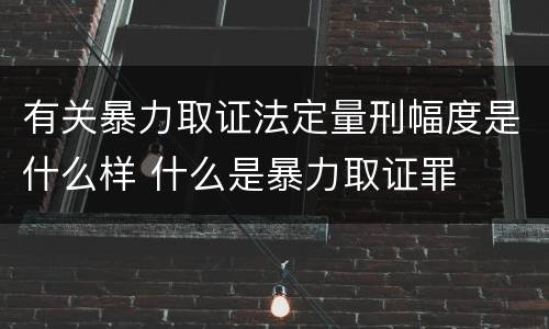 有关暴力取证法定量刑幅度是什么样 什么是暴力取证罪