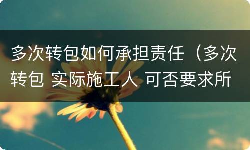 多次转包如何承担责任（多次转包 实际施工人 可否要求所有转包人承担支付责任）