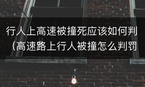 行人上高速被撞死应该如何判（高速路上行人被撞怎么判罚）