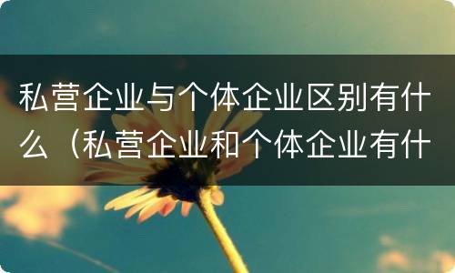 私营企业与个体企业区别有什么（私营企业和个体企业有什么区别）