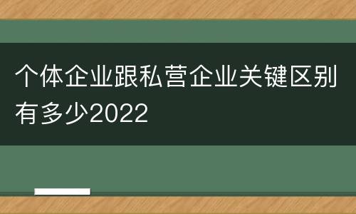 个体企业跟私营企业关键区别有多少2022