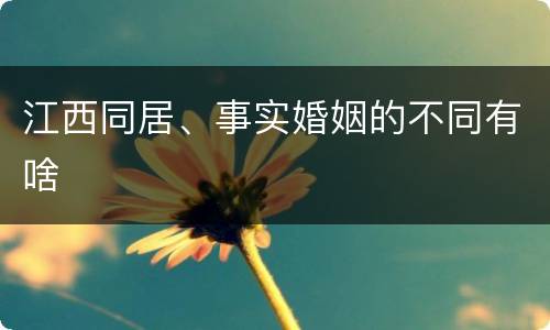 江西同居、事实婚姻的不同有啥