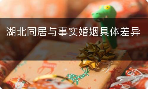 湖北同居与事实婚姻具体差异