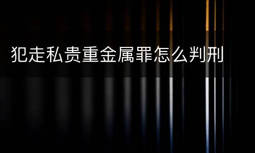 犯走私贵重金属罪怎么判刑