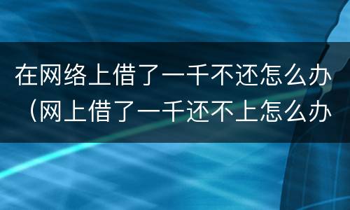 在网络上借了一千不还怎么办（网上借了一千还不上怎么办）