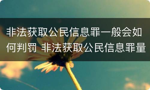 非法获取公民信息罪一般会如何判罚 非法获取公民信息罪量刑标准