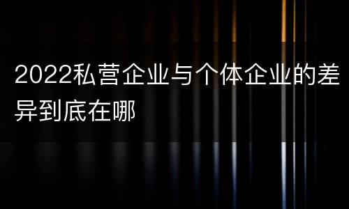 2022私营企业与个体企业的差异到底在哪