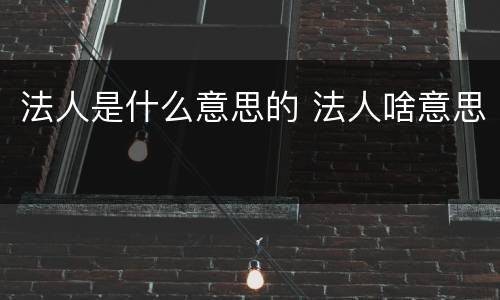 法人是什么意思的 法人啥意思