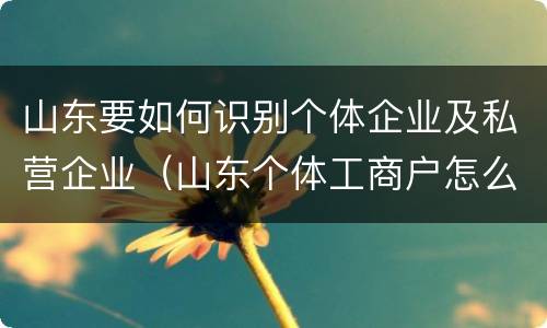 山东要如何识别个体企业及私营企业（山东个体工商户怎么注册）