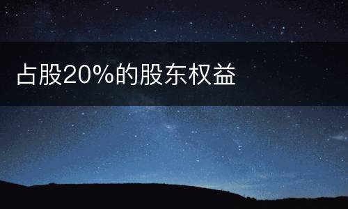 占股20%的股东权益